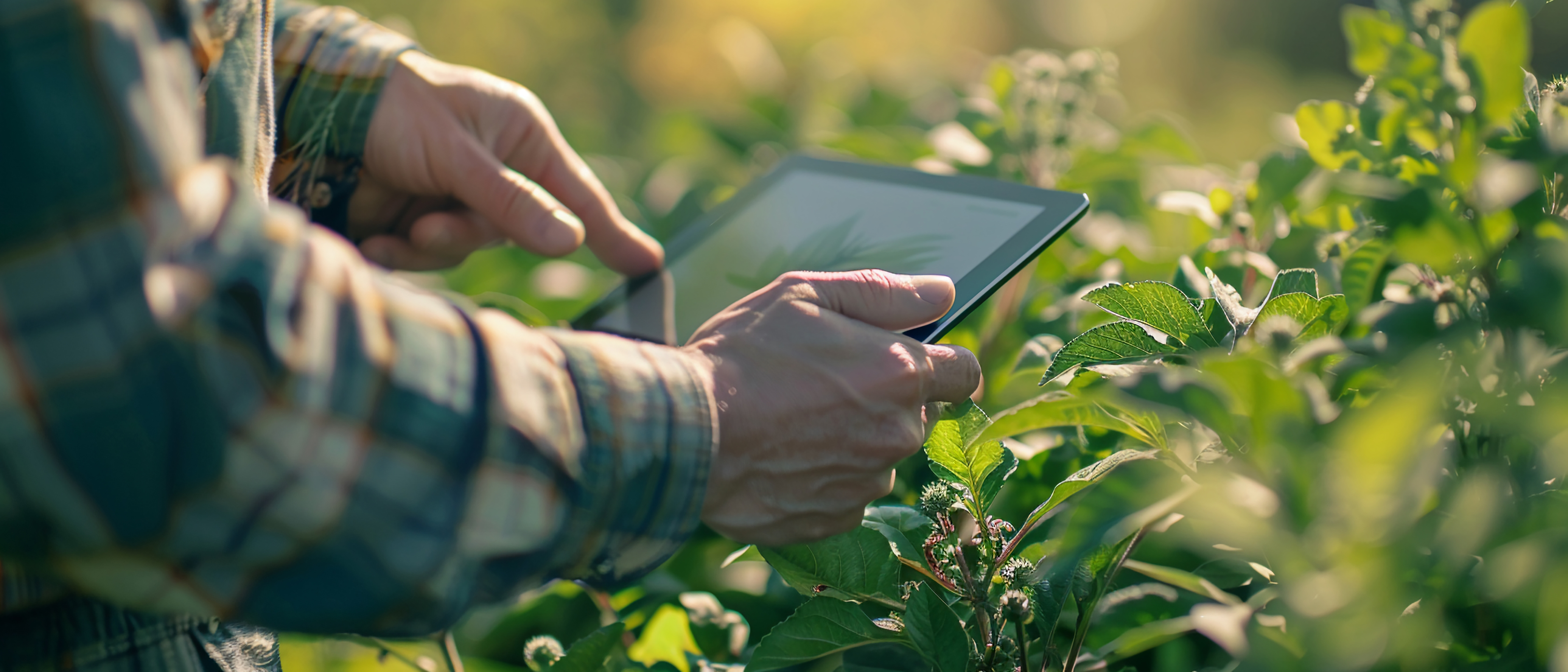 Gestão Rural: os 10 indicadores que todo produtor deve acompanhar para aumentar a rentabilidade