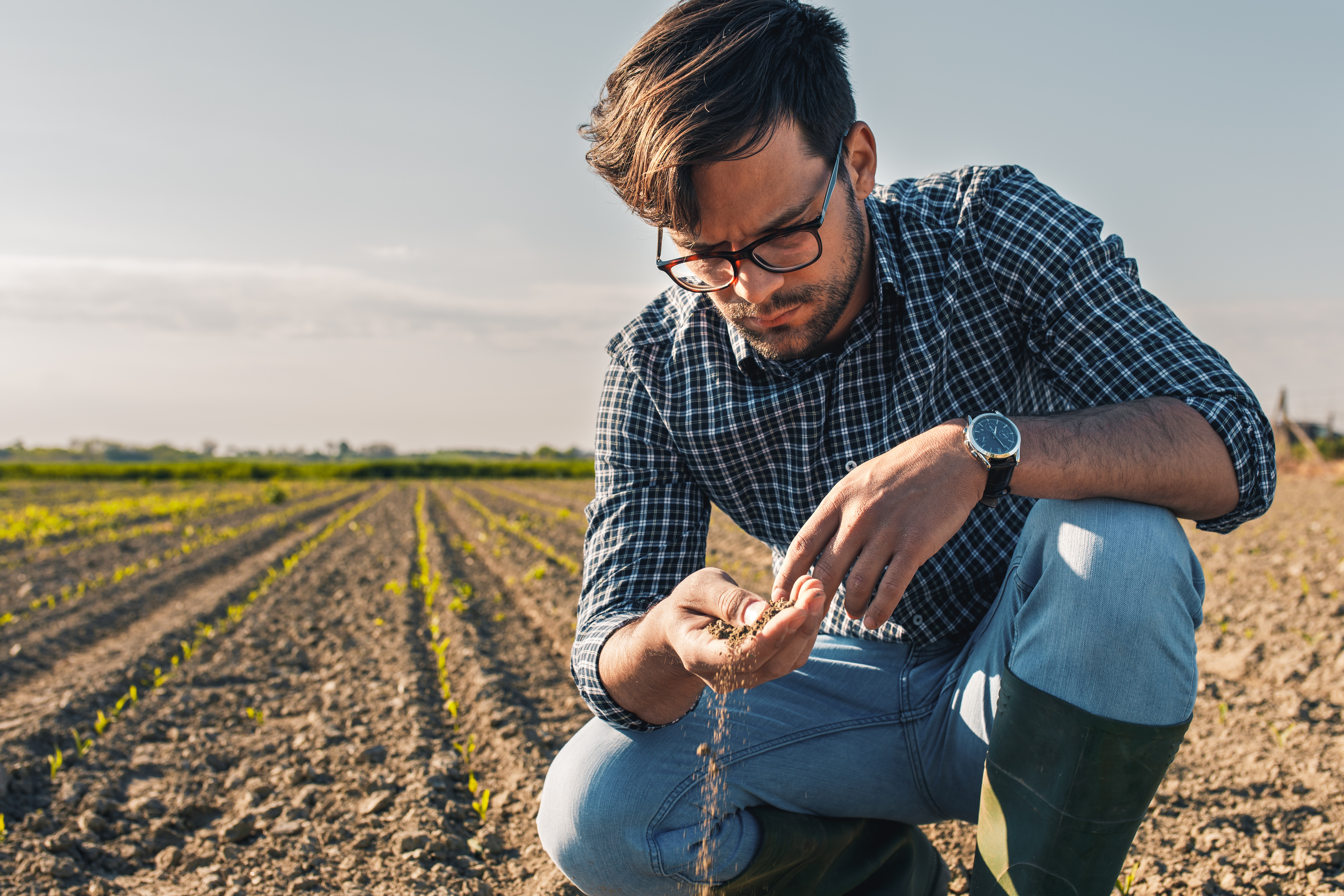 Deficiência de nutrientes no solo: como identificar os sinais antes da produtividade cair