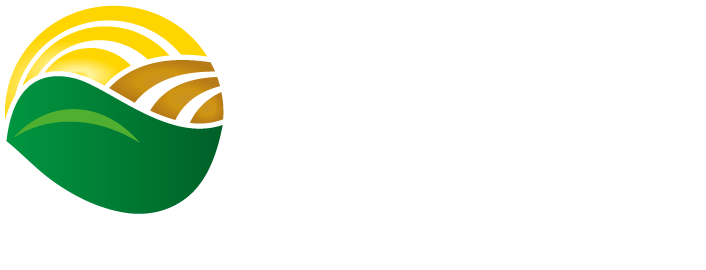 Solo Rico - Solucoes Agricolas