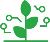 Fertilizantes Via Solo